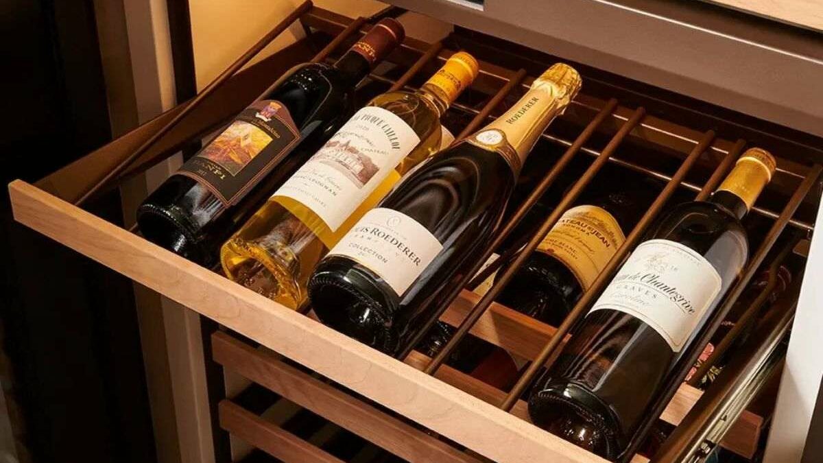 Cava de vinos: 10 consejos para comprar una vinera