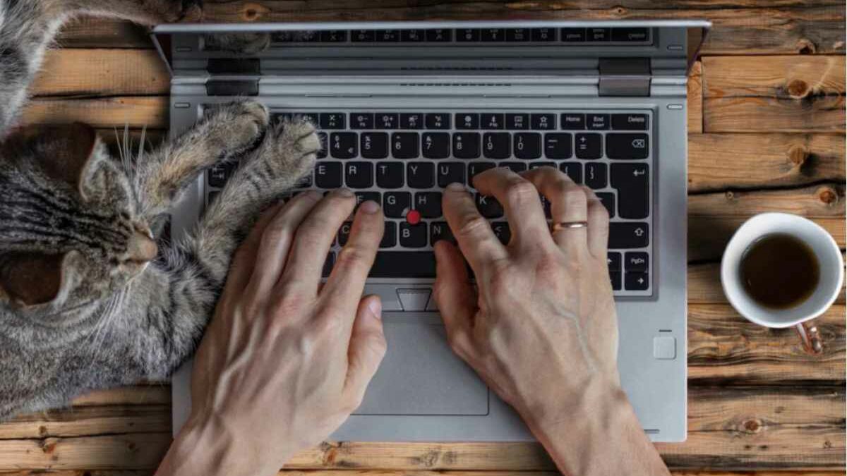 ¿Por qué no funciona el teclado de mi laptop? Causas y soluciones