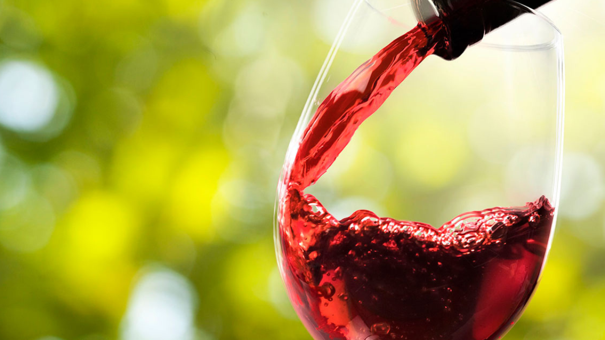 Mejores Marcas de Vino: ¿Cuál deberías elegir?