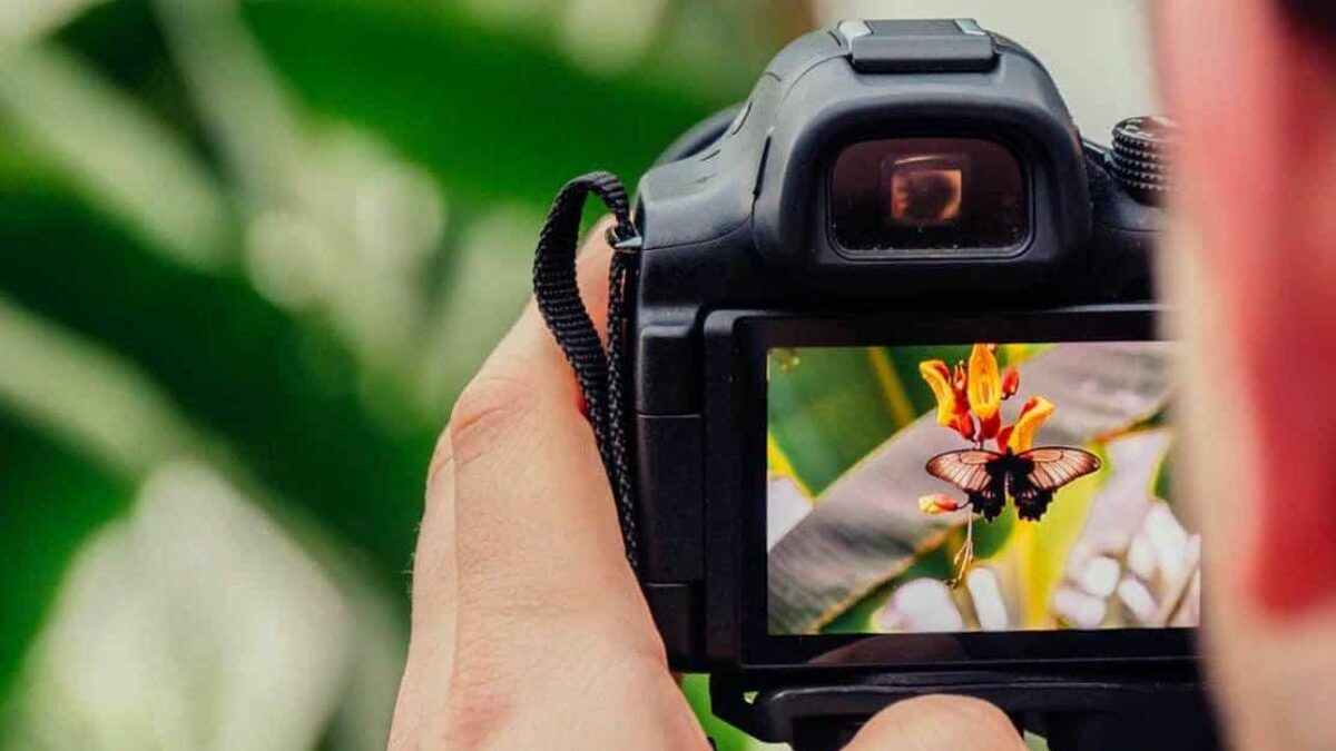 ¿Cómo comprar una cámara fotográfica en 2025?