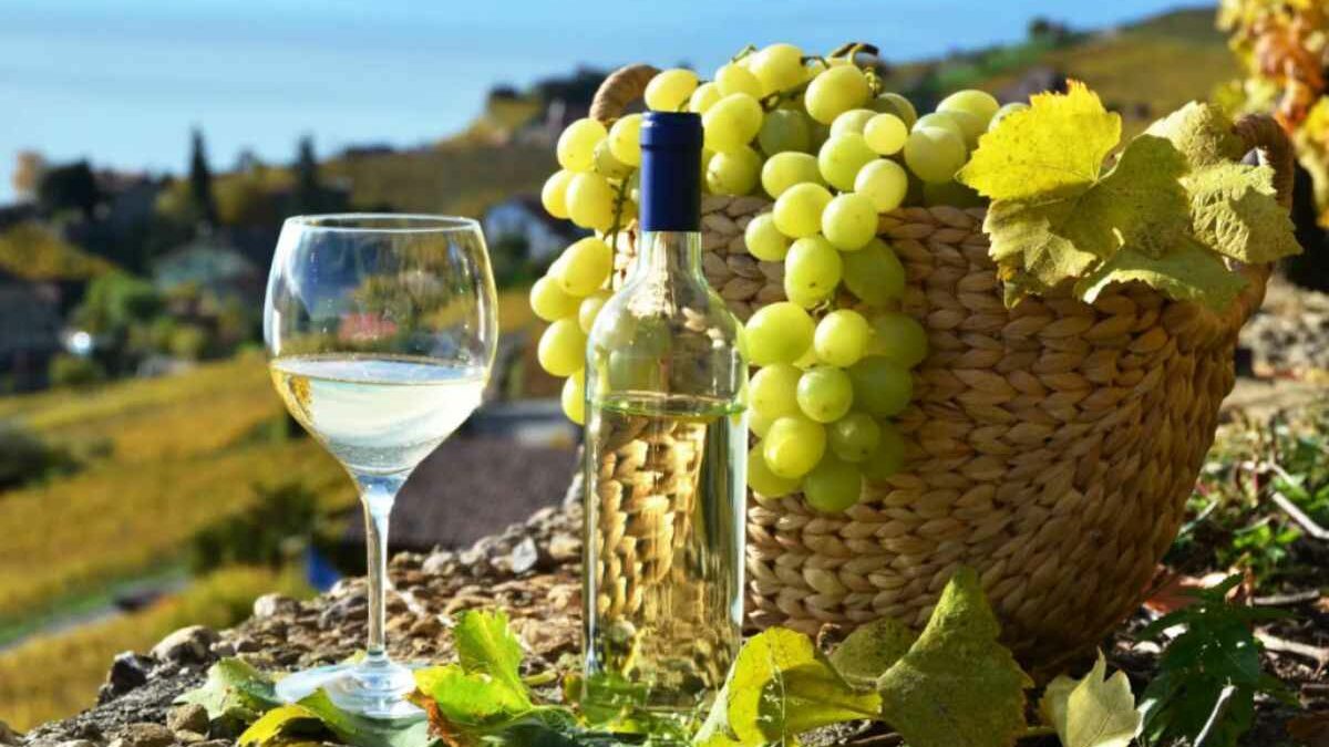 Las 5 mejores marcas de pisco en 2025
