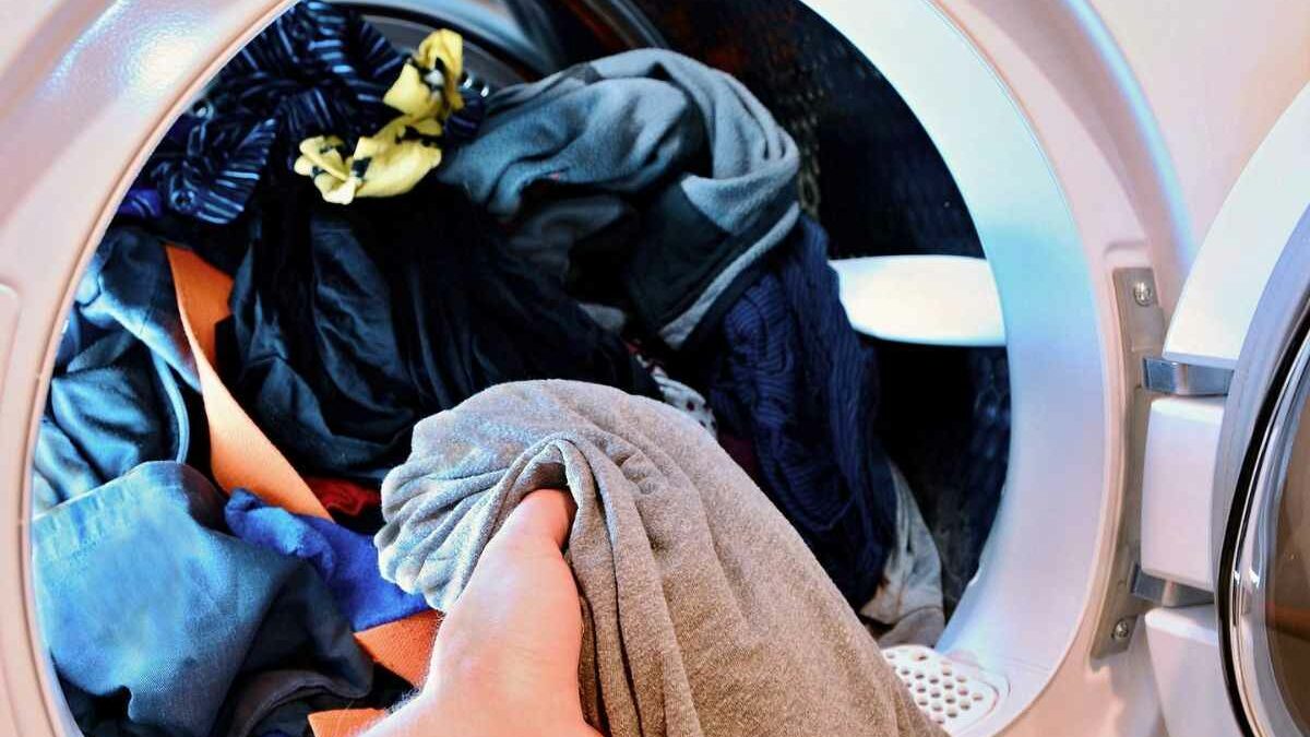 ¿Qué ropa no se puede secar en la secadora?: 2025