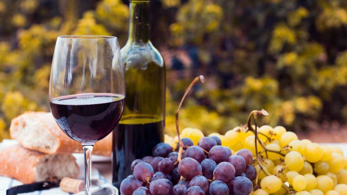 ¿Cuáles son las mejores marcas de vino tinto en 2024?