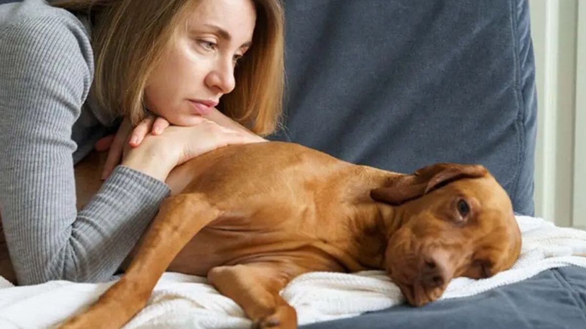 Mi perro tiene tos como si tuviera algo atorado ¿Qué debo hacer?