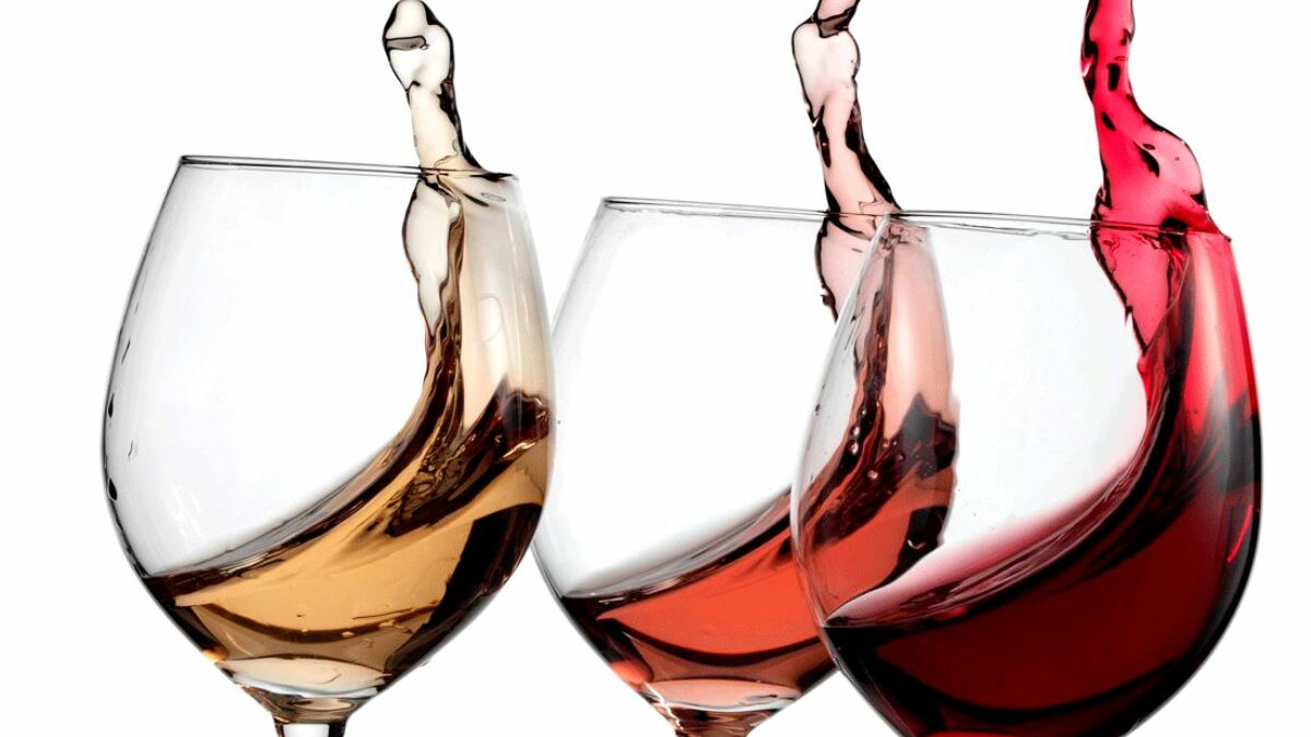 Tipos de vino: Variedades y características