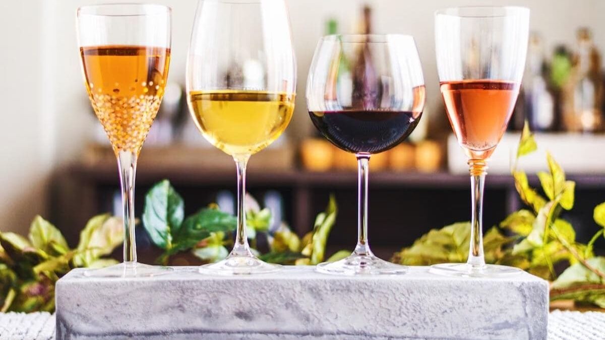 Cepas de vino: Variedades y características