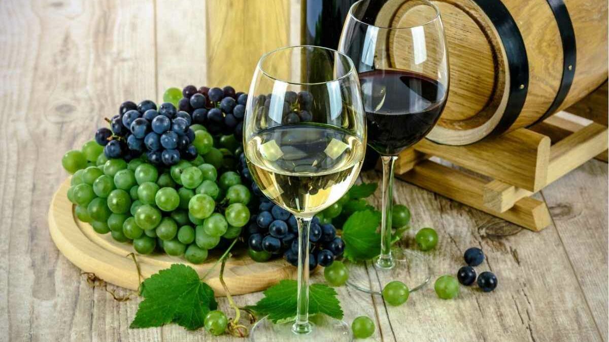 Conociendo las cepas de vino: Desde el Malbec hasta el chardonnay