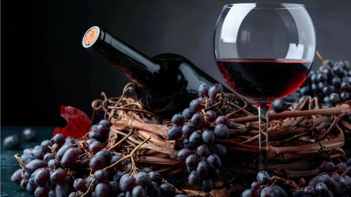 Clasificación de vinos por color y azúcar: Guía completa 