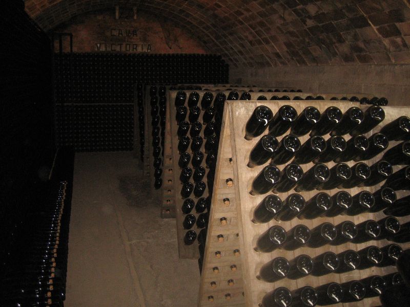 vinos espumosos