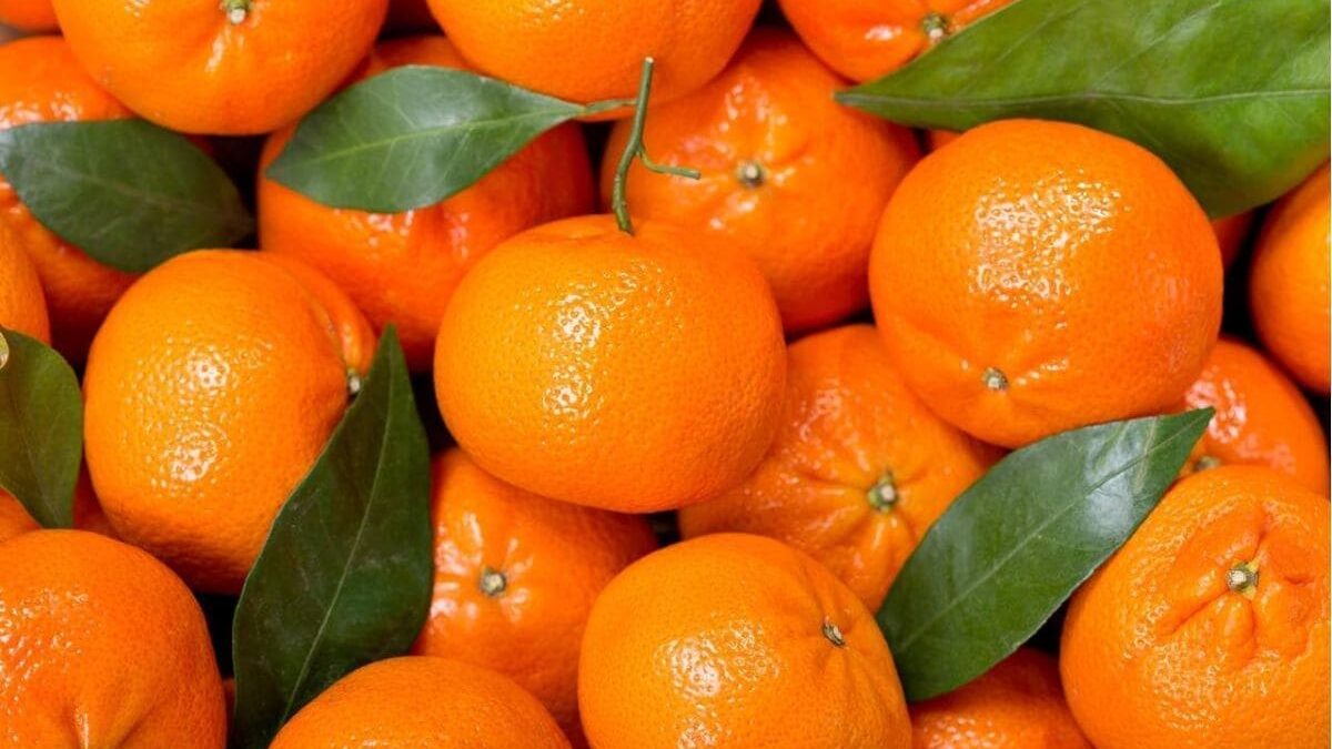 ¿Para qué es buena la mandarina?: Beneficios y propiedades increíbles