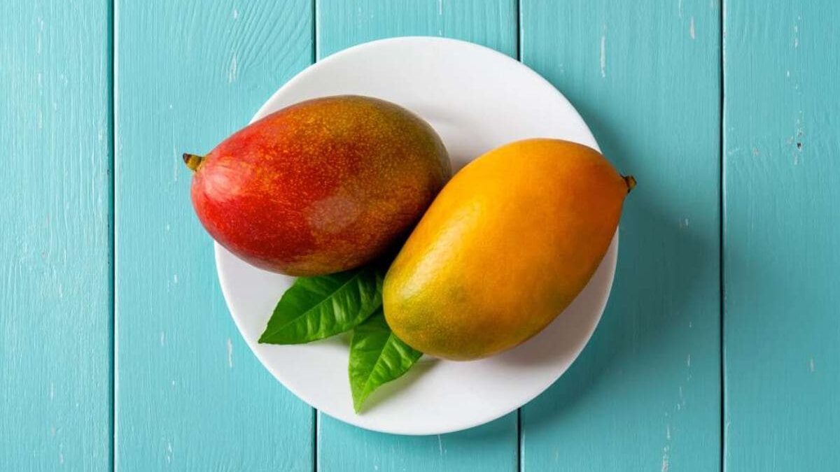¿Para qué es bueno el mango?: Conoce todos sus beneficios